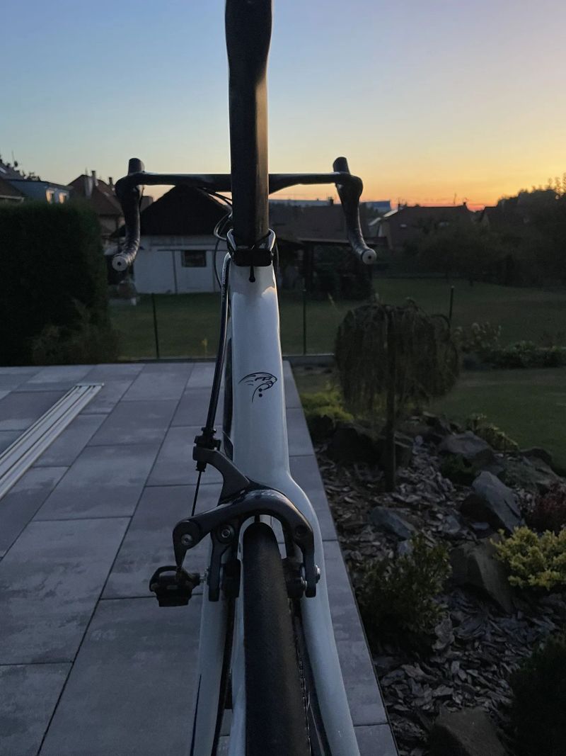 Pinarello Prince