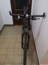 Rarita... Kellys Toxic 26"