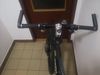 Rarita... Kellys Toxic 26"