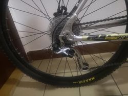 Rarita... Kellys Toxic 26"