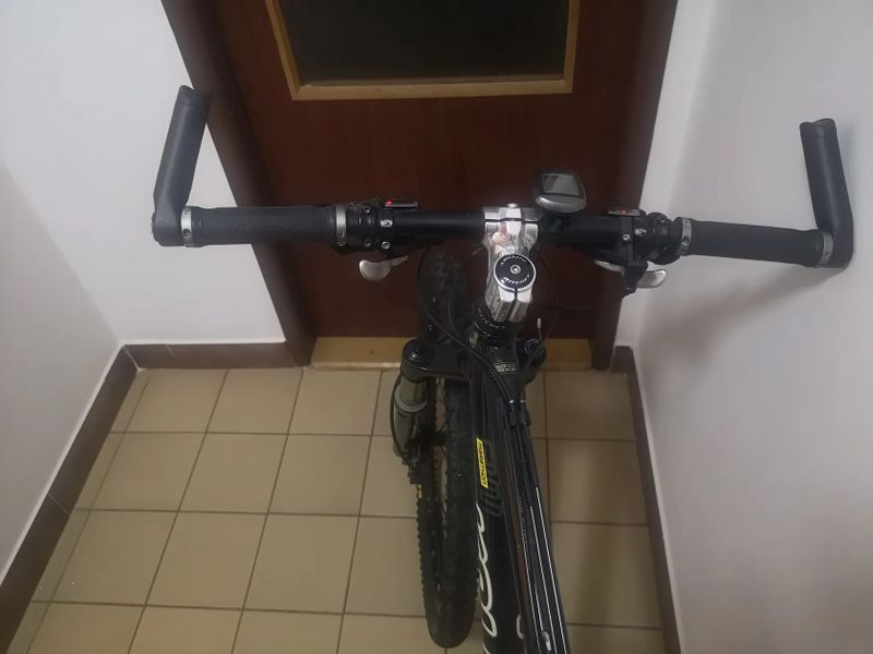 Rarita... Kellys Toxic 26"