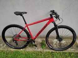 Cannondale F-si Carbon 5 L-/XT/Reba/WTB/