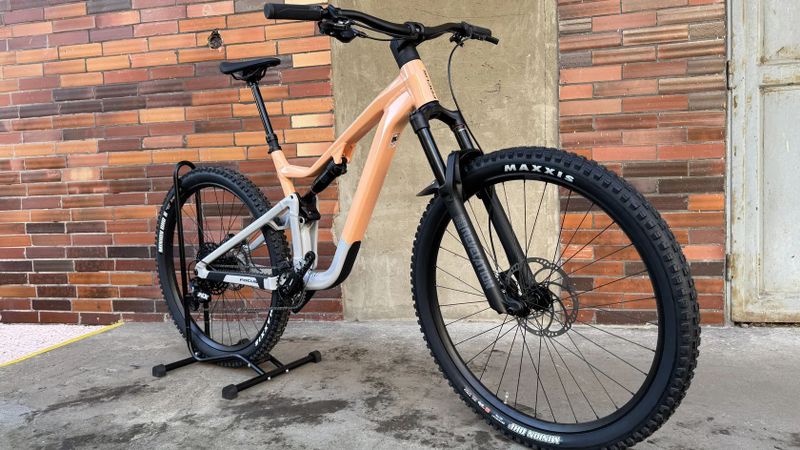 Nový Focus Jam 6.8 Melonglosy