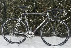 Colnago Tecnos Art Decor