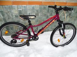 Rock Machine Catherine 24"