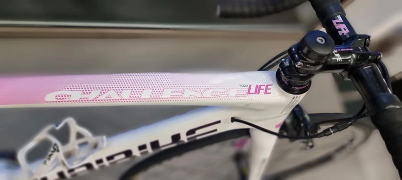 Haibike Haibike Challenge Life