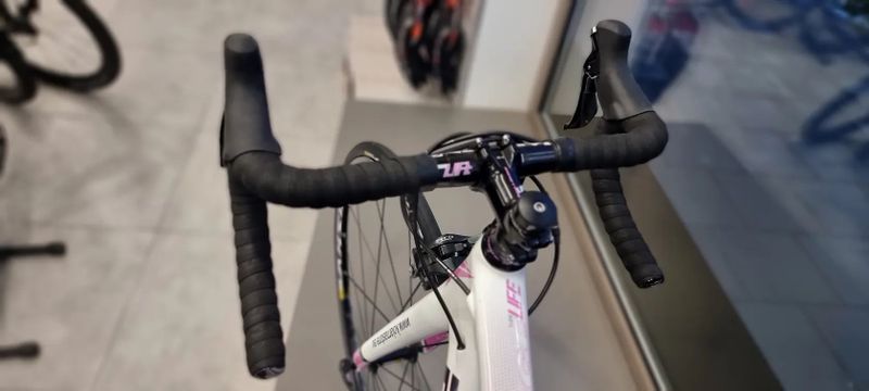 Haibike Haibike Challenge Life