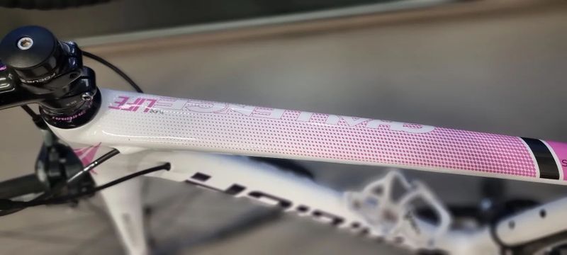 Haibike Haibike Challenge Life