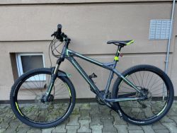 Bergamont Bergamont Metric 5.4