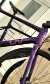 LIV Langma Advanced Disc 2