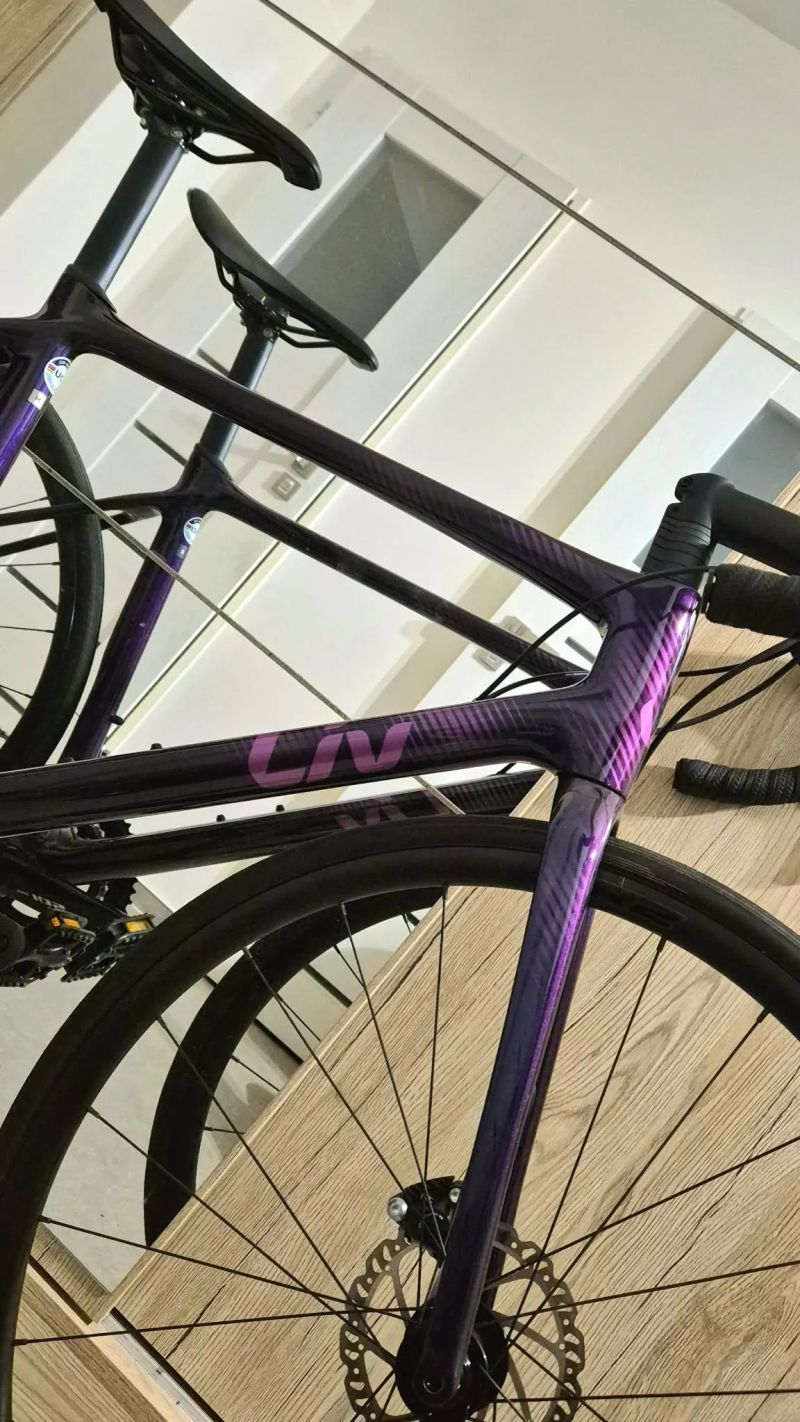 LIV Langma Advanced Disc 2