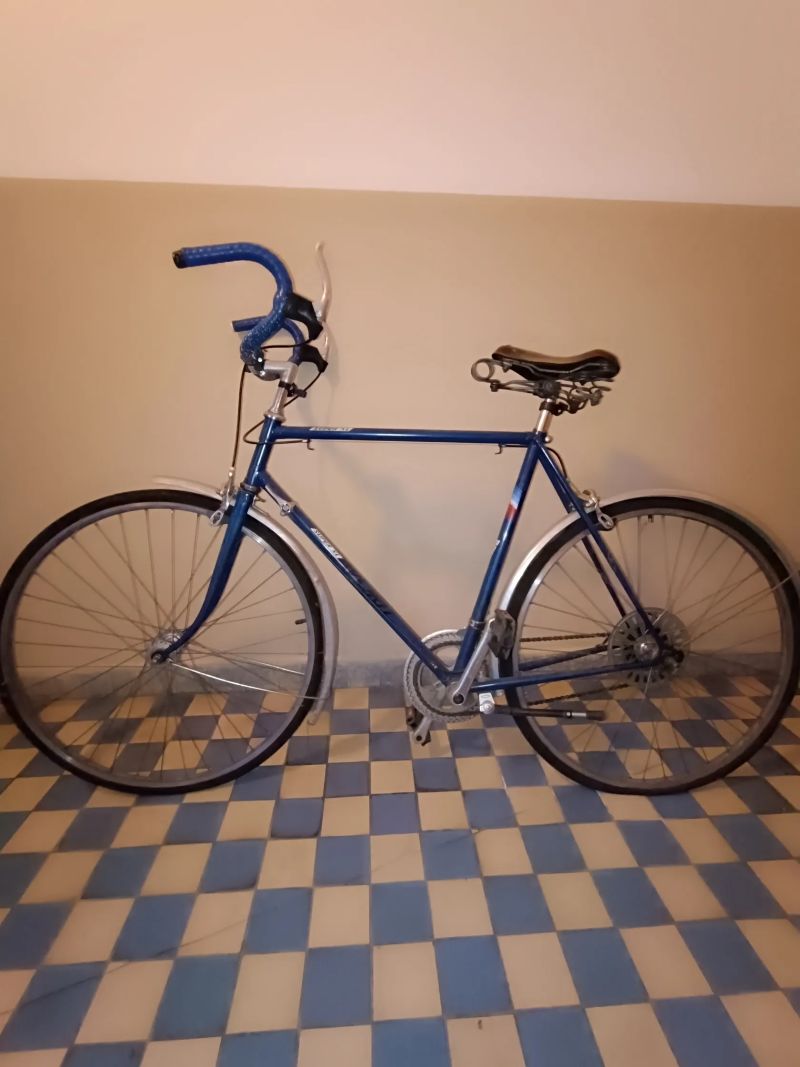 Prodám staré dlouho nepoužívané pánské kolo