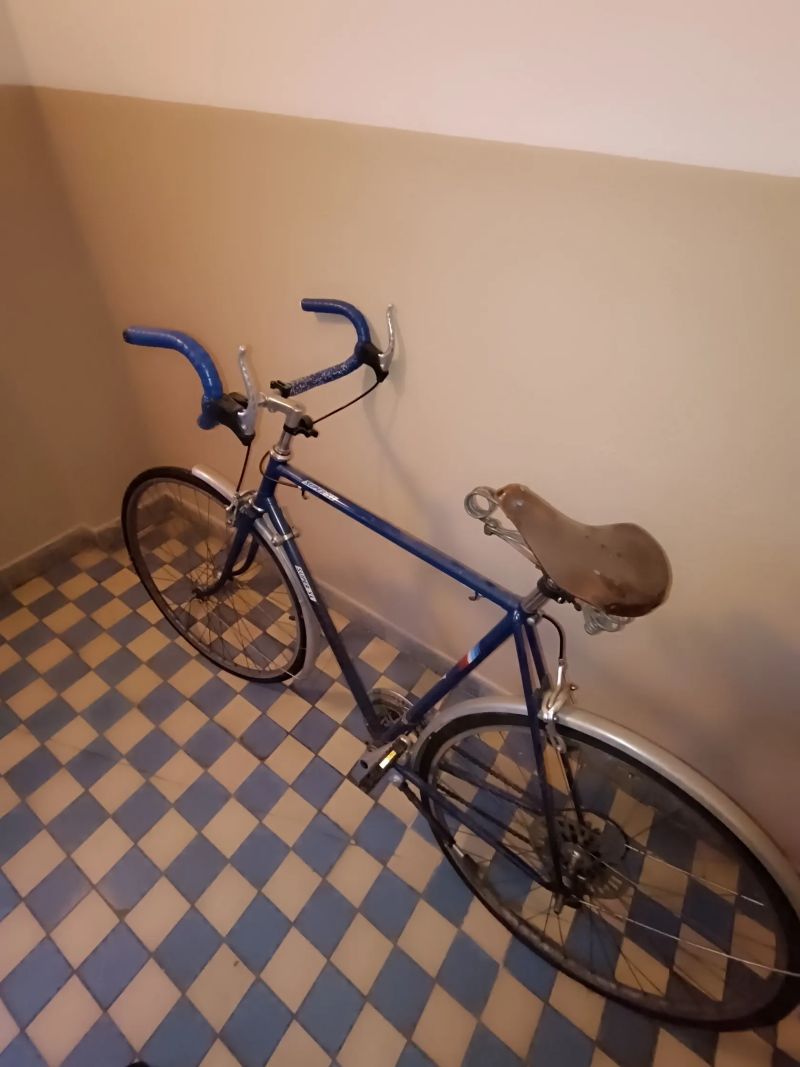 Prodám staré dlouho nepoužívané pánské kolo