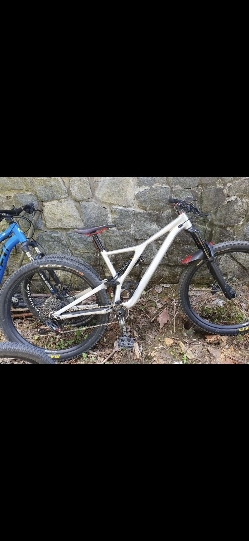 Specialized Stumpjumper Evo