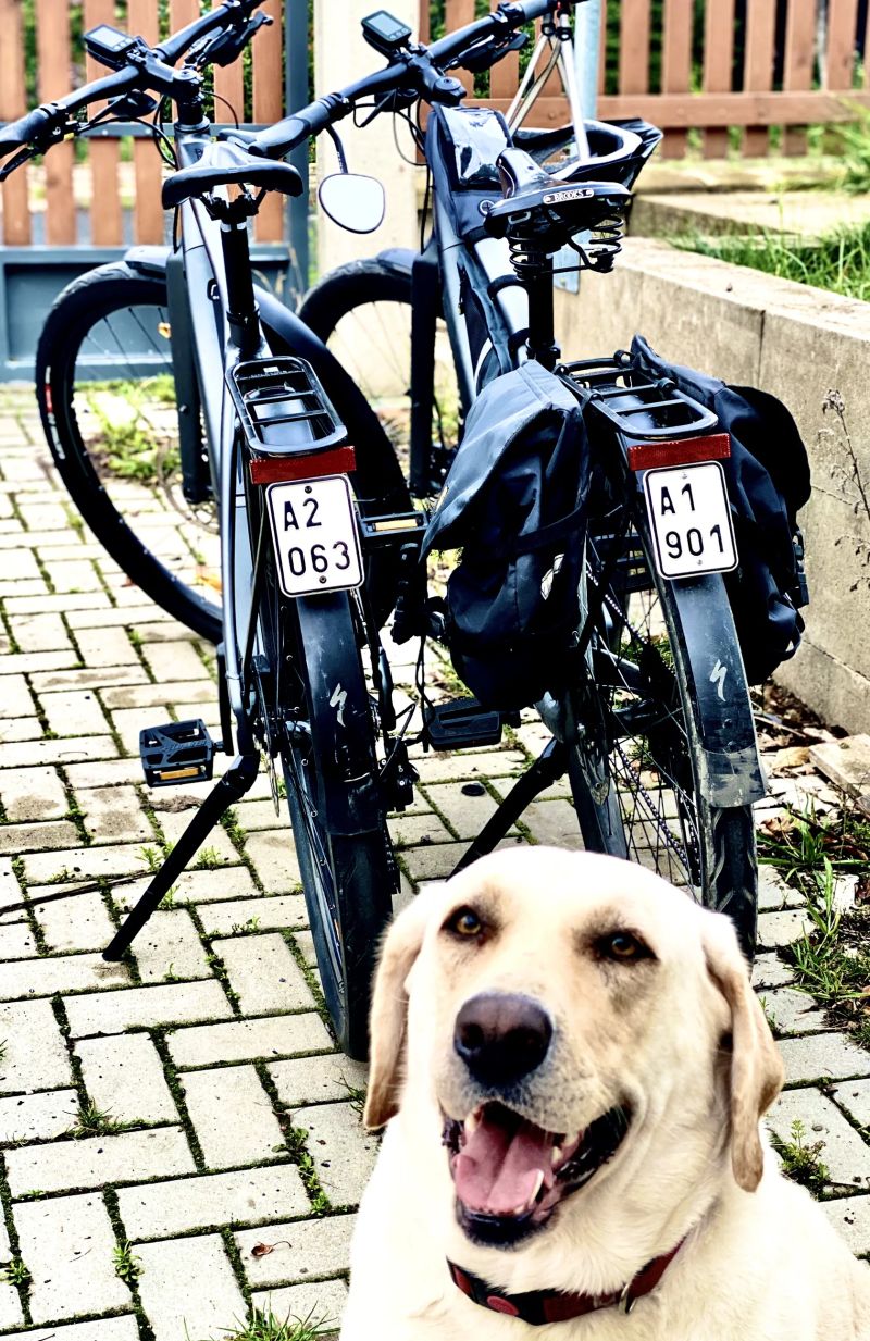 Specialized Turbo Vado