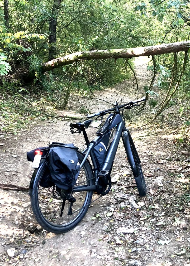 Specialized Turbo Vado