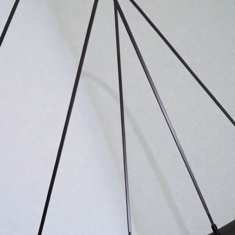 Silniční karbonová kola Carbonix ENTRY 50 - profesionální vzhled i výkon za férovou cenu (1510 g)!