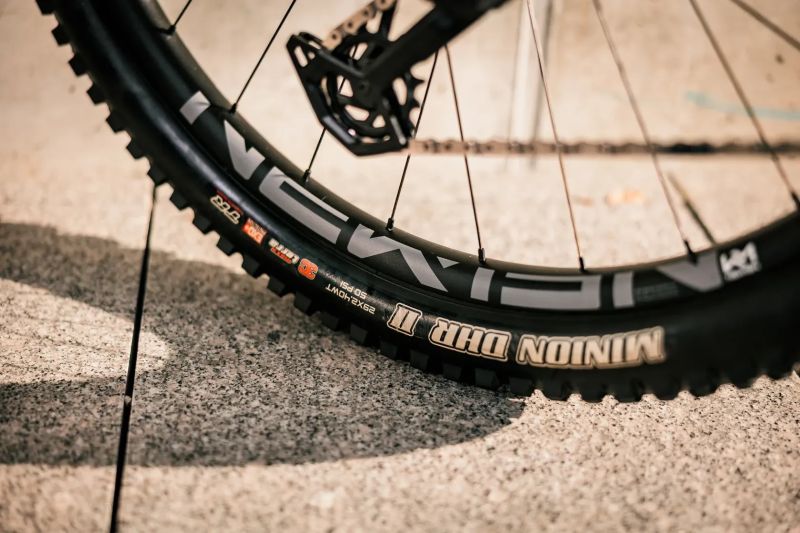 Pivot Cycles Firebird