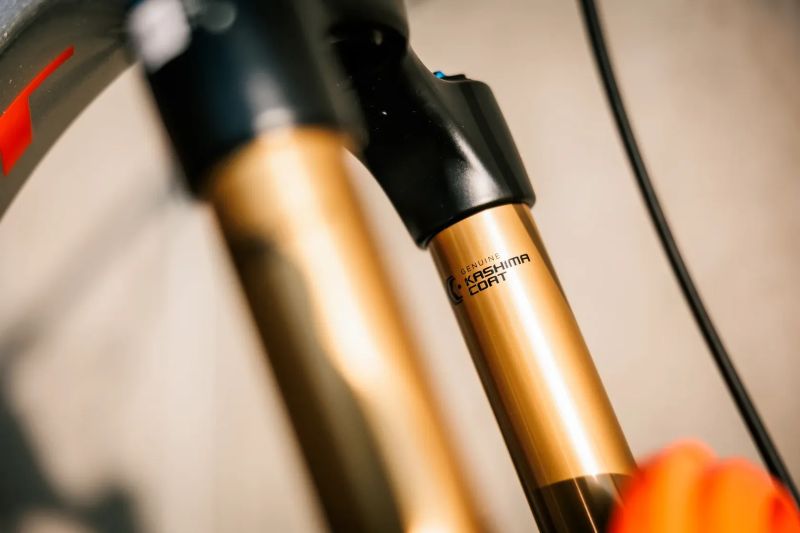 Pivot Cycles Firebird