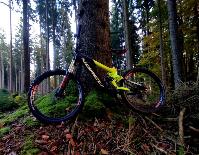 Norco C7.1