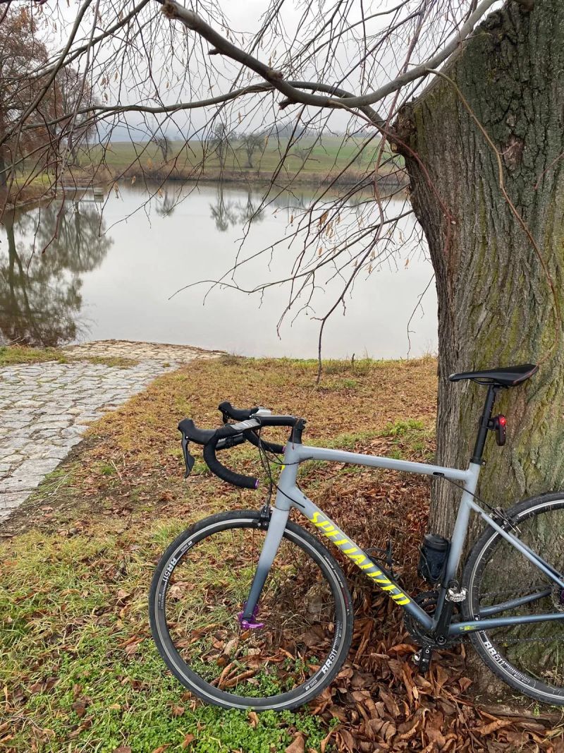 Specialized Allez Elite 2020