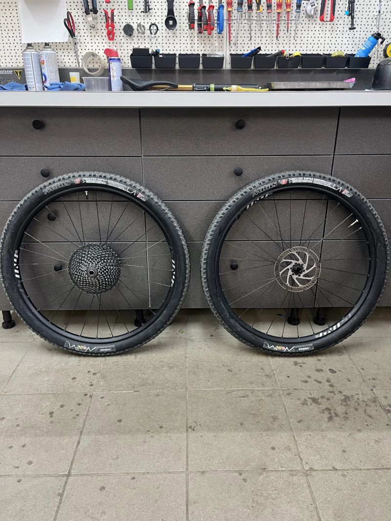 Ghost Lector LC 26+27,5