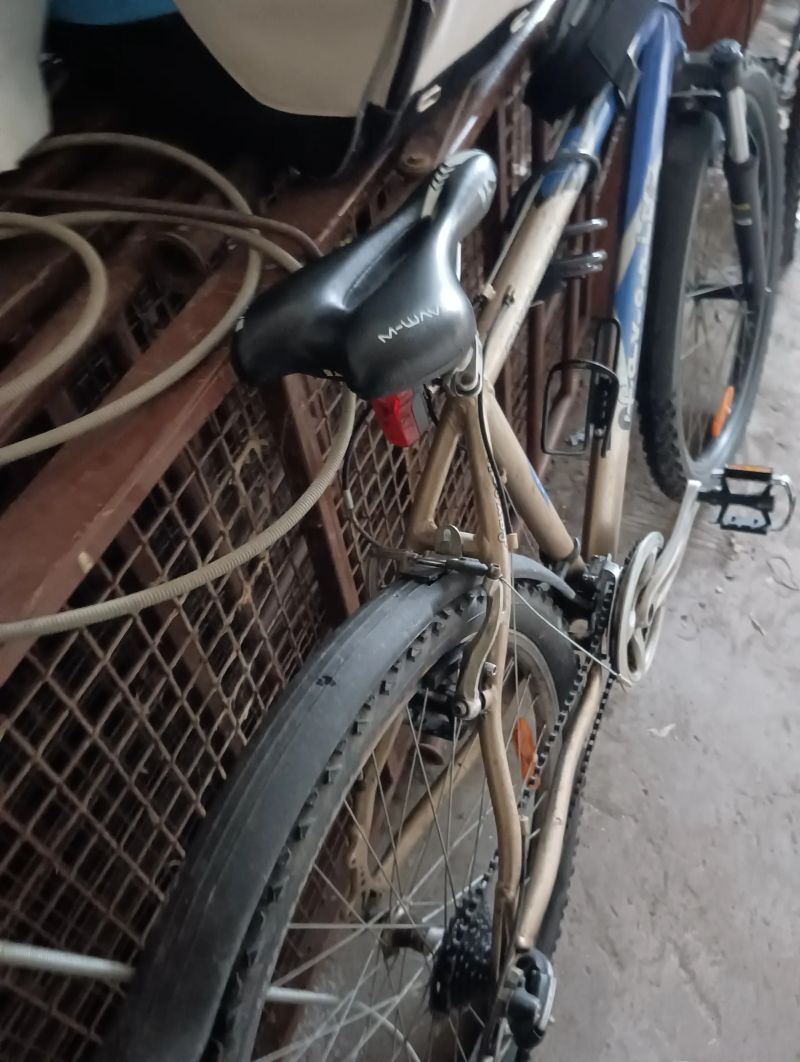 Favorit Rival sx cena je pevná