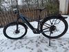 Cannondale Trail Neo 2