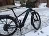 Cannondale Trail Neo 2