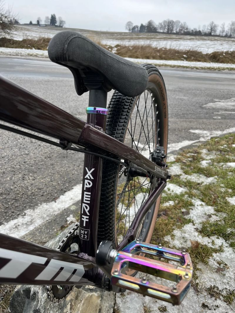 CTM DIRTKING EXPERT💜