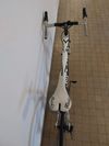Colnago Ace