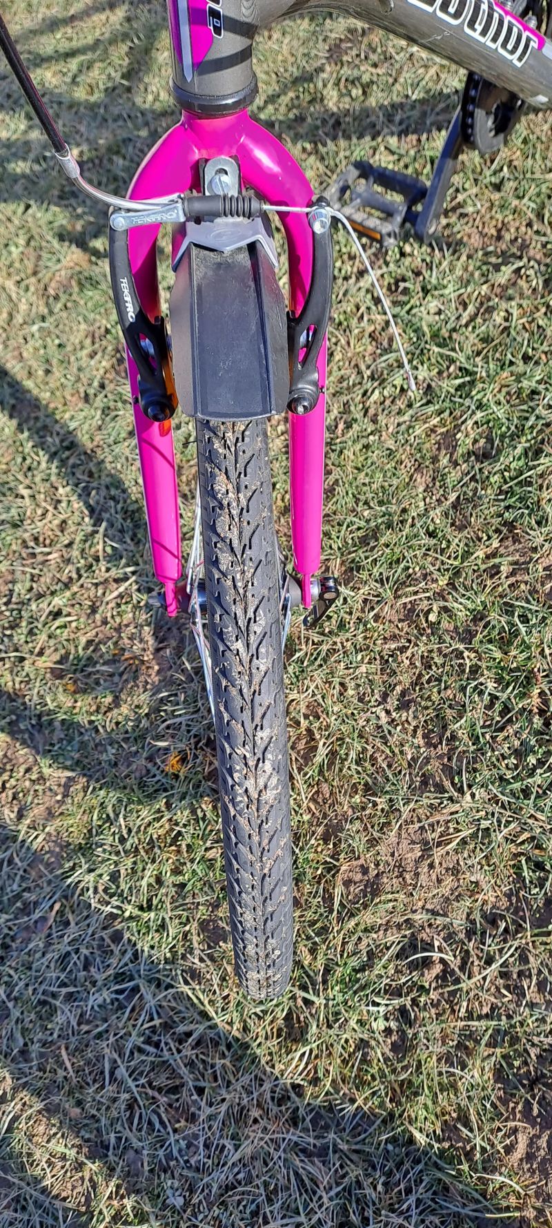 Author Ultima 24" - TOP STAV