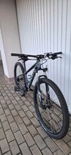 Specialized Rockhopper 29"