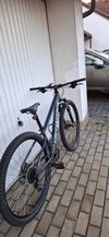 Specialized Rockhopper 29"
