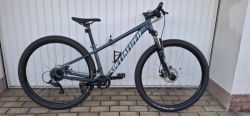 Specialized Rockhopper 29"