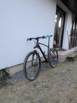 Arezzo roco 2021 L 27,5