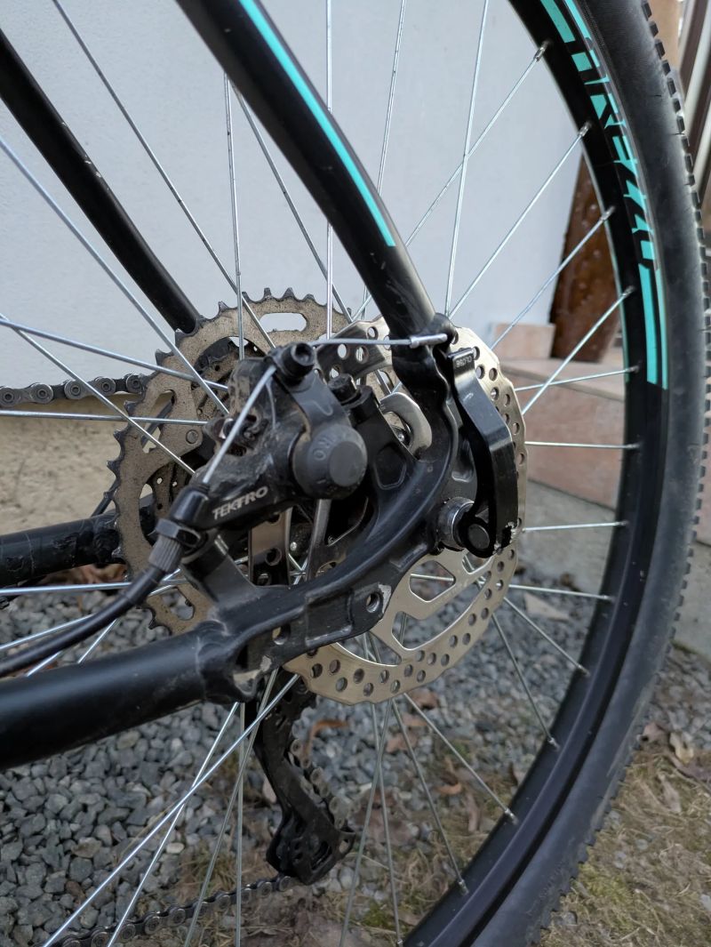 Arezzo roco 2021 L 27,5