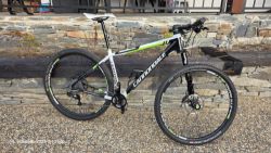 Cannondale F29