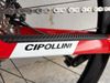 Cipollini MCM