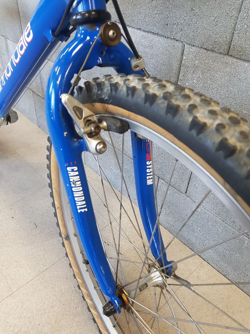 Cannondale M600 Beast of the East, rok 1992