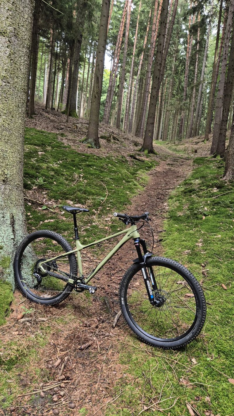 Qayron Spyro M 29" super stav