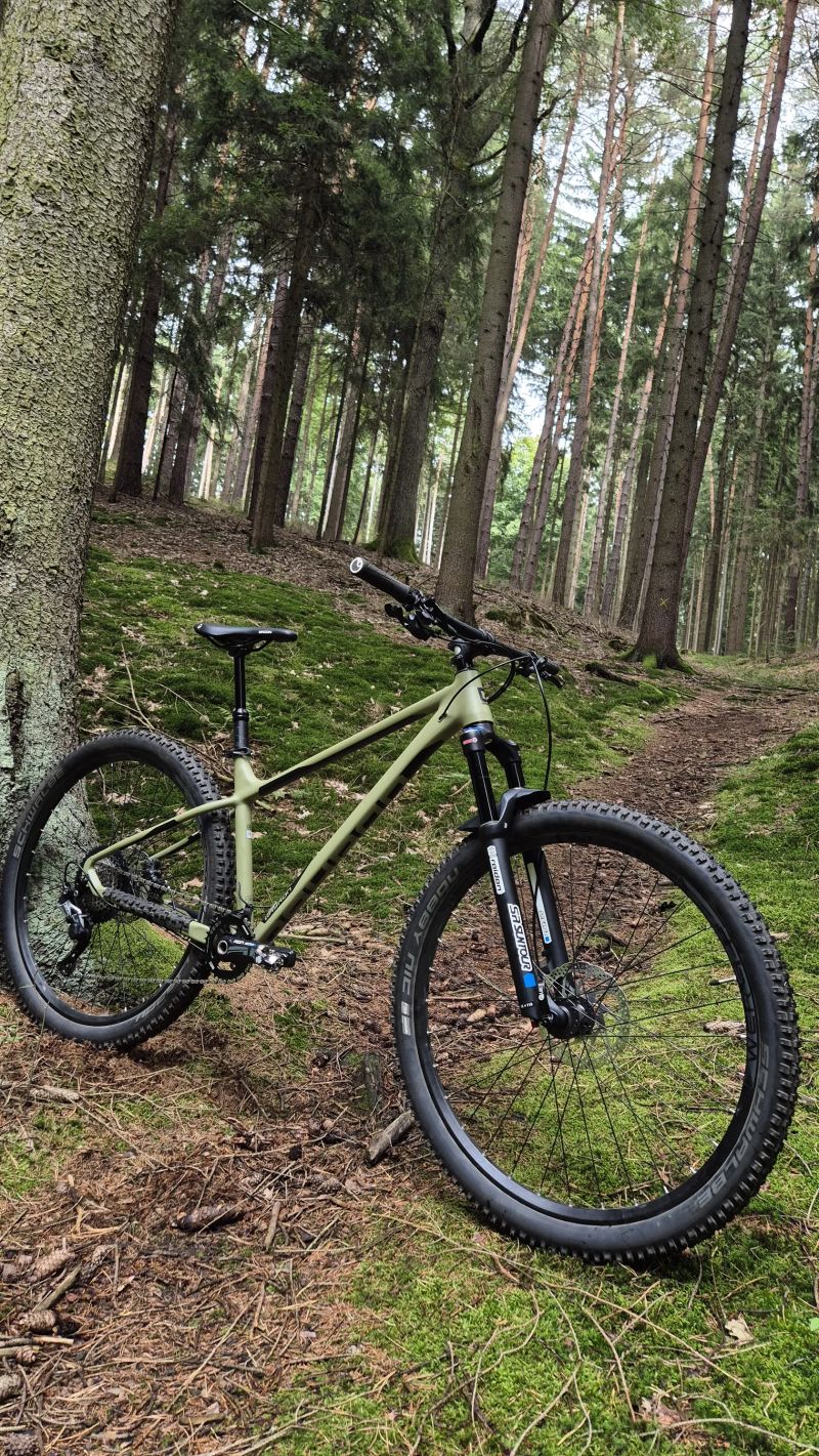 Qayron Spyro M 29" super stav