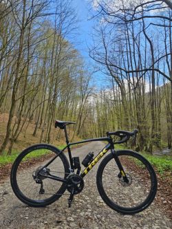 Trek Domane AL 2 22'