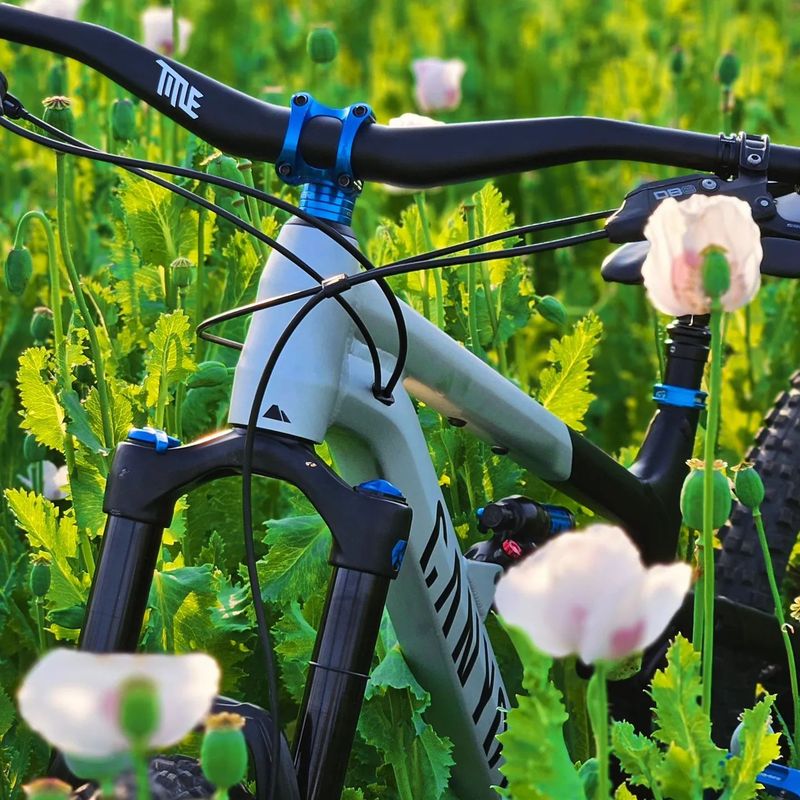 Canyon Spectral 27,5