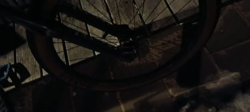 Rose the bruce !!SPĚCHÁ!!