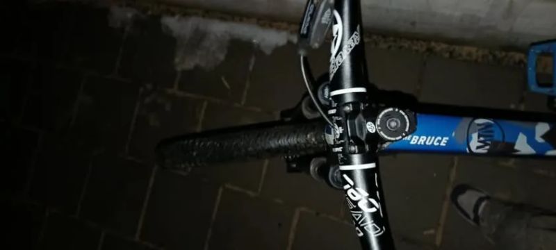 Rose the bruce !!SPĚCHÁ!!