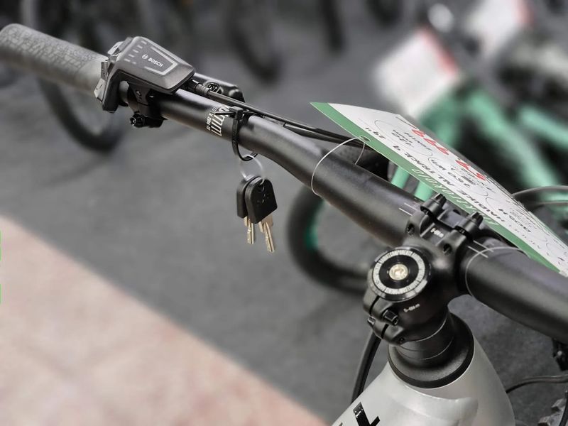 !!!NOVÝ!!! Haibike ALLTRACK 9 29", Bosch CX4 Smart, 750Wh, vel. M