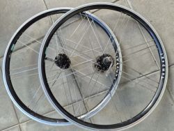 Kola Bayer Tempest 26"