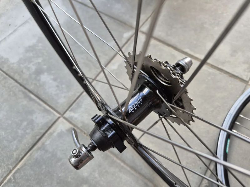 Kola Bayer Tempest 26"