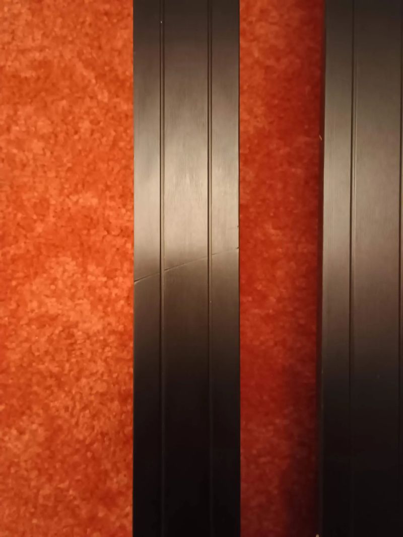 Dvoje špičkové běžky na bruslení v délce 186 cm, výběrové Salomon s/lab za 7,5 , SkiTrab za 3,5